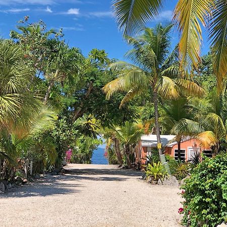 The Pelican Key Largo Cottages מראה חיצוני תמונה