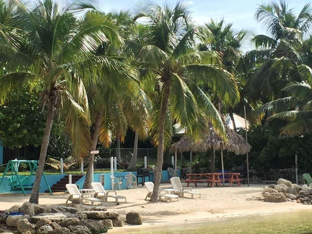 The Pelican Key Largo Cottages מראה חיצוני תמונה