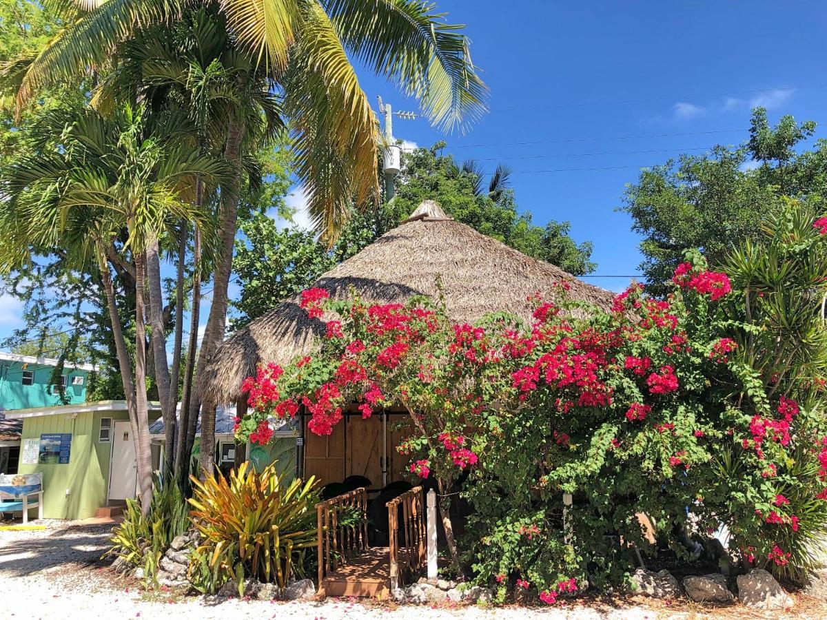 The Pelican Key Largo Cottages מראה חיצוני תמונה