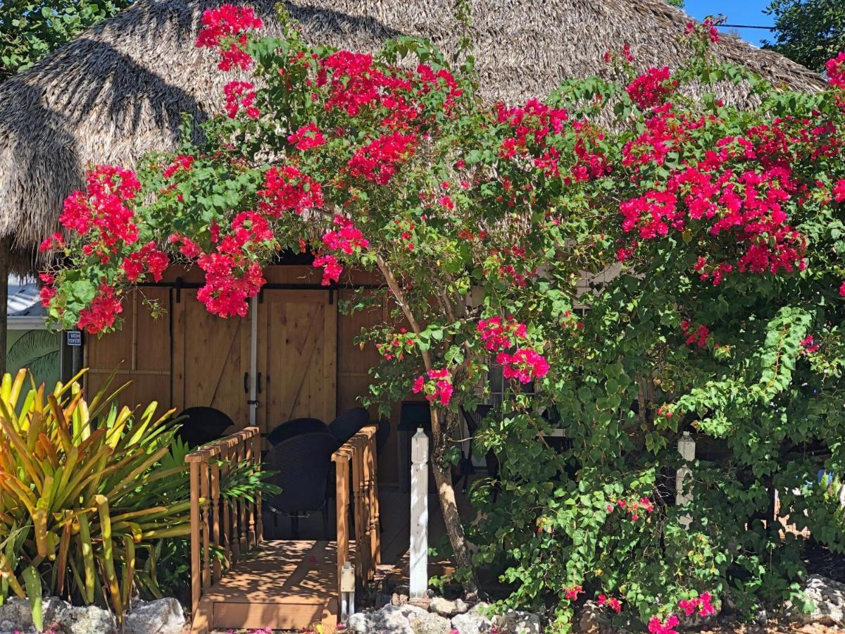 The Pelican Key Largo Cottages מראה חיצוני תמונה