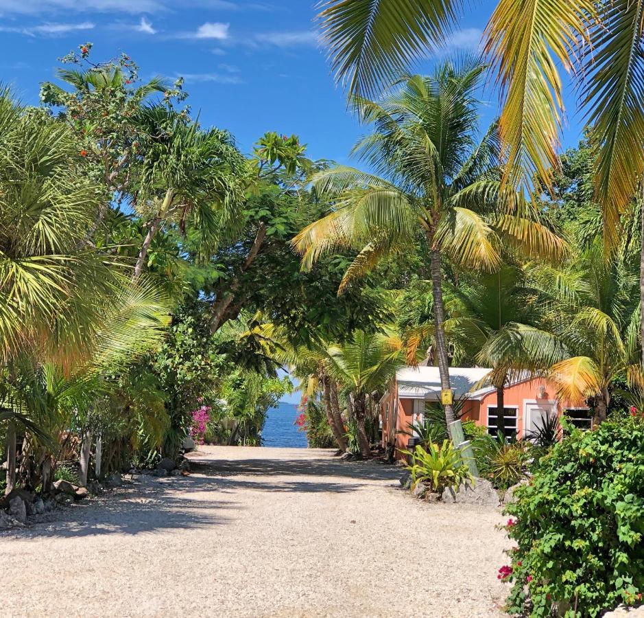 The Pelican Key Largo Cottages מראה חיצוני תמונה